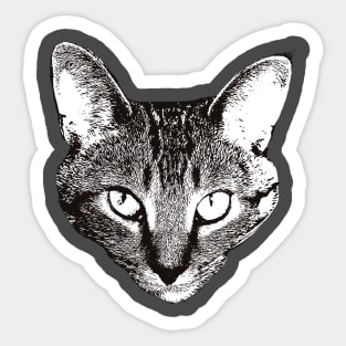 Devon Rex - Devon Rex Christmas Gifts Sticker